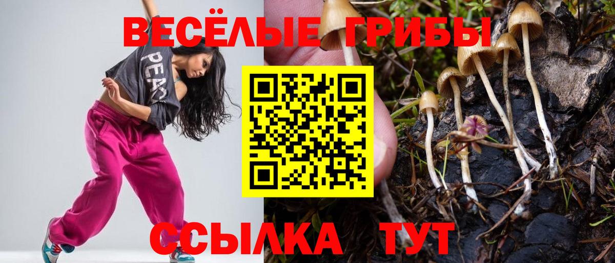 Псилоцибиновые грибы GOLDEN TEACHER  Вход с VPN  Чебоксары 